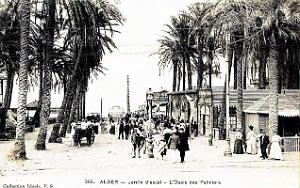 1947- Alger - Jardin d'essai - L'Oasis des Palmiers